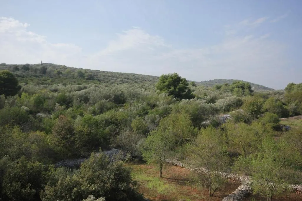 Apartments With A Parking Space Cove Mala Lamjana, Ugljan - 350 Kali